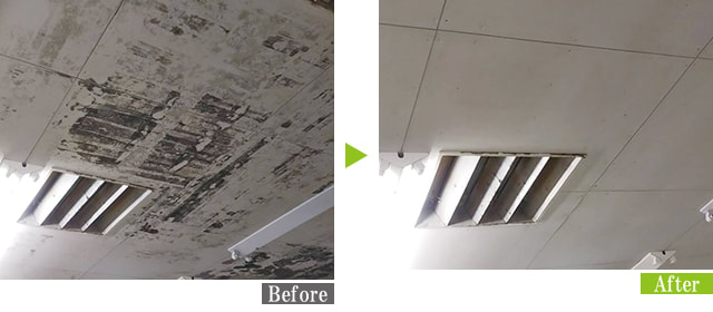 カビ汚れのスーパーマーケット天井を業務用カビ取り剤 G-Ecoシリーズ環境対応型洗浄剤カビ・ヤニで施工