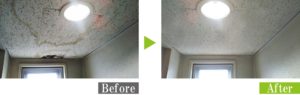天井に発生したカビを環境対応型特殊洗浄G-Eco工法で除カビ施工