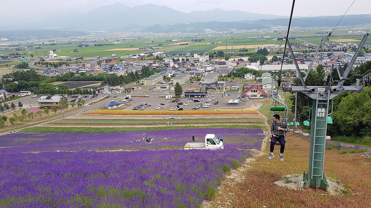 道庁地下食堂の週間メニューについて