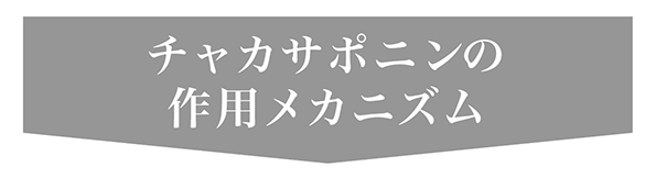 保阪流極 ファットカット
