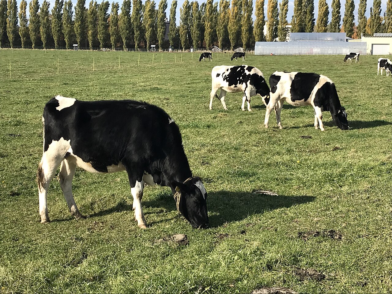 NIPPON FOOD SHIFT FES.TOKYO 2026開催